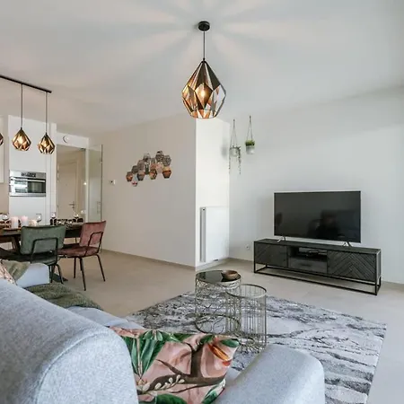 Huswell - Modern With South Facing Terrace * Ostend